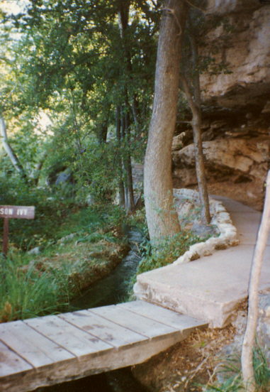 view at Boyce-Thompson Southwestern Arboretum