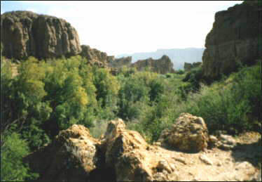 view at Boyce-Thompson Southwestern Arboretum