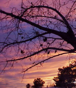 sunset in Casa Grande, Arizona